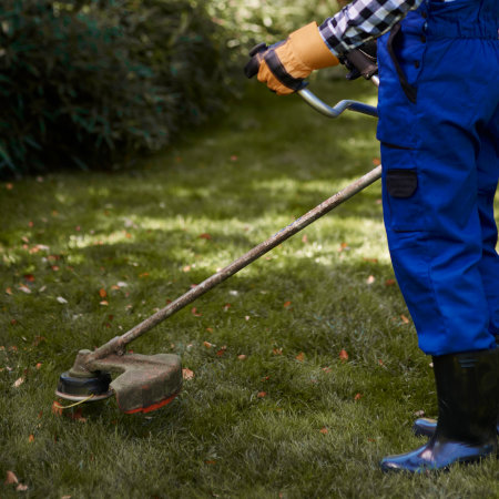Garden Maintenance Services Image.