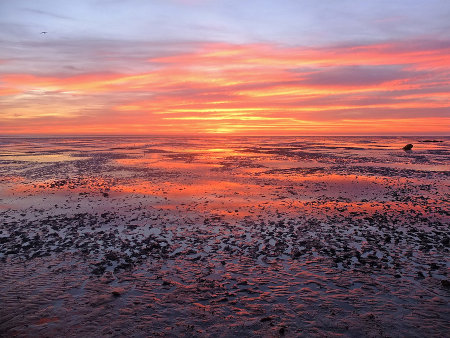 Footer image for 'Handyman in Snettisham, Norfolk' page.